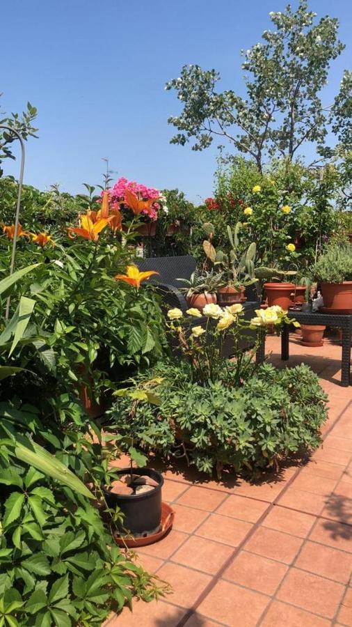 ボローニャIl Giardino Sui Tettiアパートメント エクステリア 写真